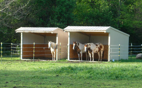 Wrangler_Run_In_Horse_Shelter_12_x_12