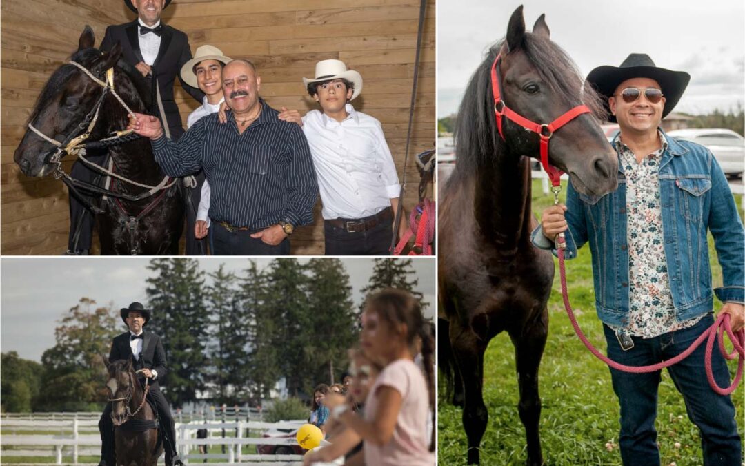 A Successful Canada Day Celebration with Paso Fino Horses