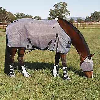 Protect Horse From the Sun and Pests