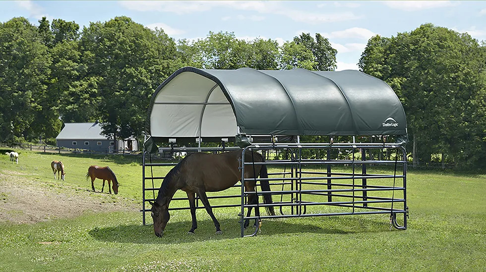 Portable Shelter