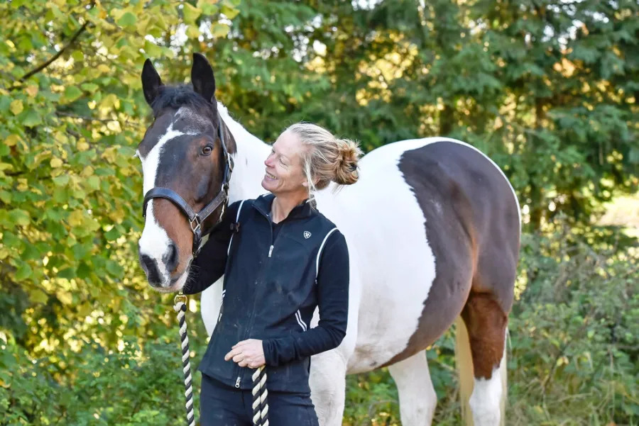 Basic Paso Fino Horse Care Essentials